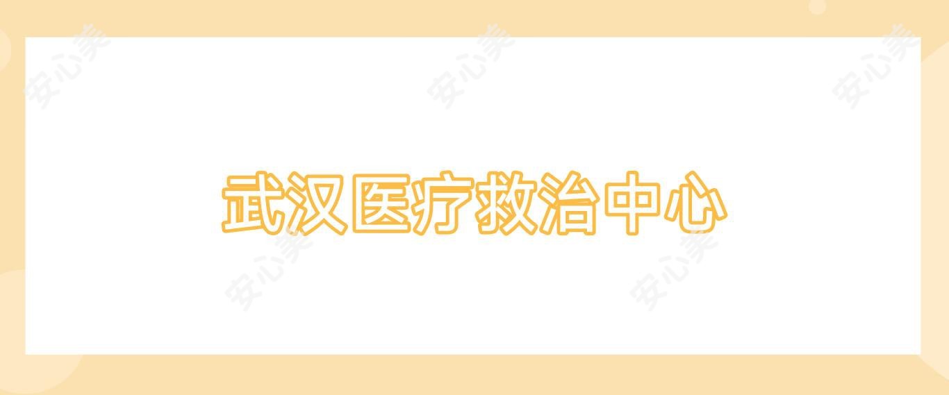 武汉医疗救治中心